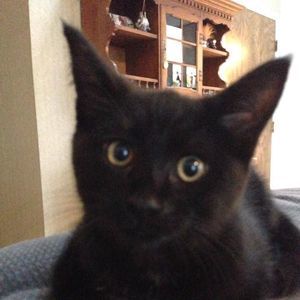 Meet your Posher, J luke